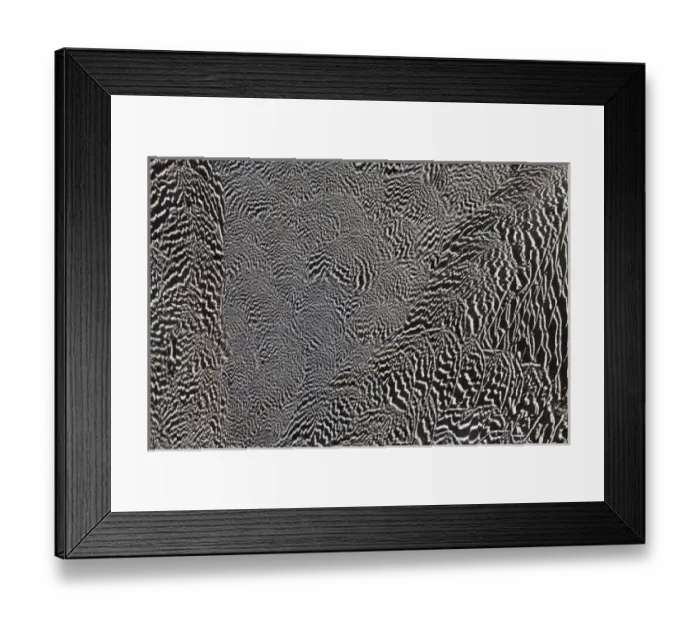 Framed Print : Anderson Pheasant