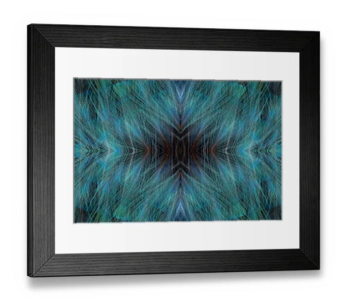 Framed Print : Blue Bird of Paradise feathers Framed Print : Blue Bird of Paradise feathers