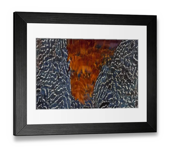 Framed Print : Crestless Fireback Pheasant breast and Wing Feathers