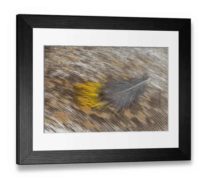 Framed Print : Teather pattern and design