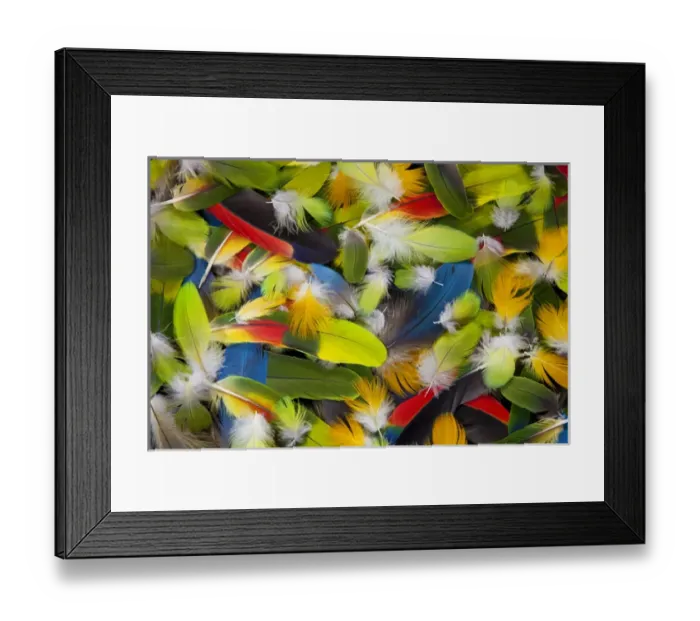Framed Print : Colorful feather pattern layout