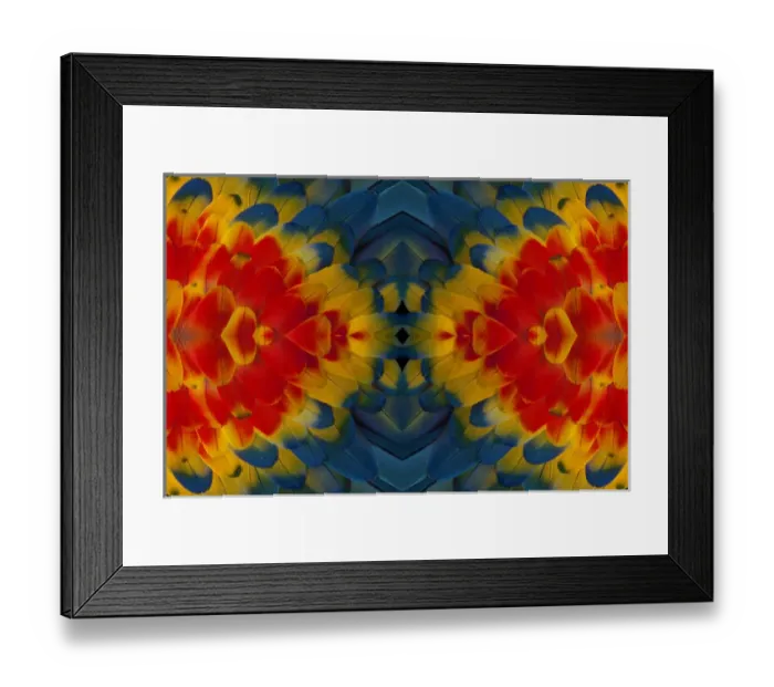 Framed Print : Shoulder, coverts feathers of the Scarlet Macaw