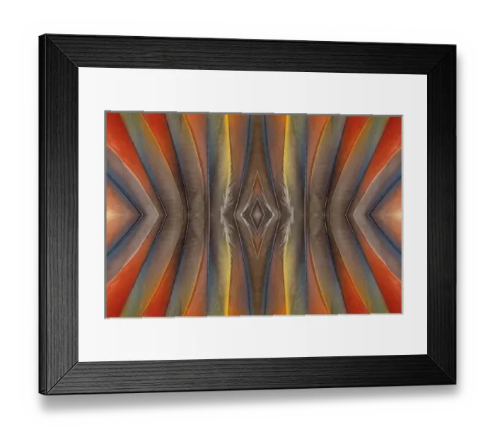 Framed Print : Feather design of the Scarlet Macaw Feathers Framed Print : Feather design of the Scarlet Macaw Feathers
