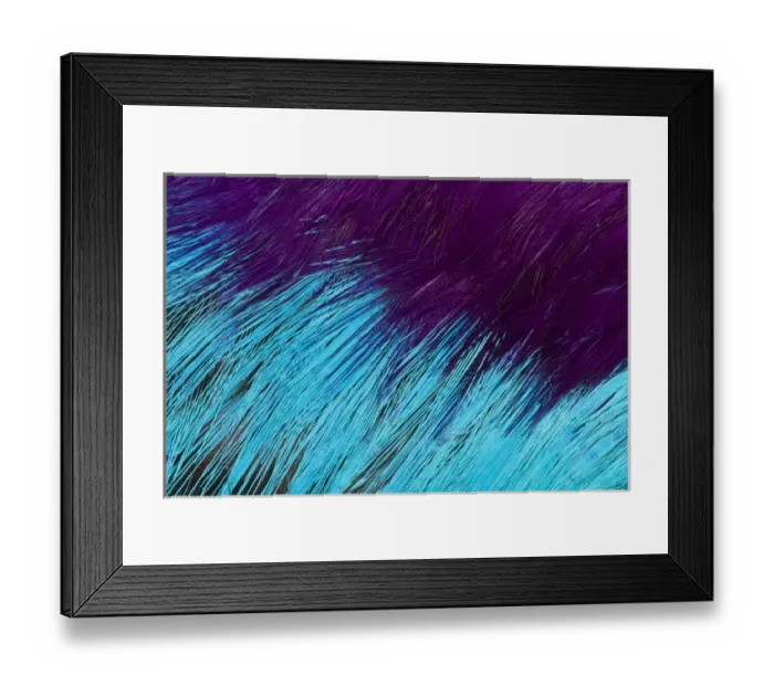 Framed Print : Breast feather design