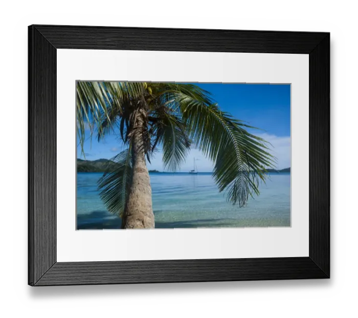 Framed Print : Palm tree hanging over the clear waters around Nanuya Lailai island, the blue lagoon