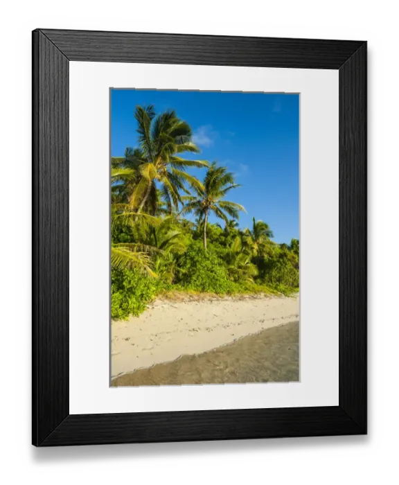 Framed Print : White sandy beach, Oarsman Bay, Yasawas, Fiji, South Pacific Framed Print : White sandy beach, Oarsman Bay, Yasawas, Fiji, South Pacific