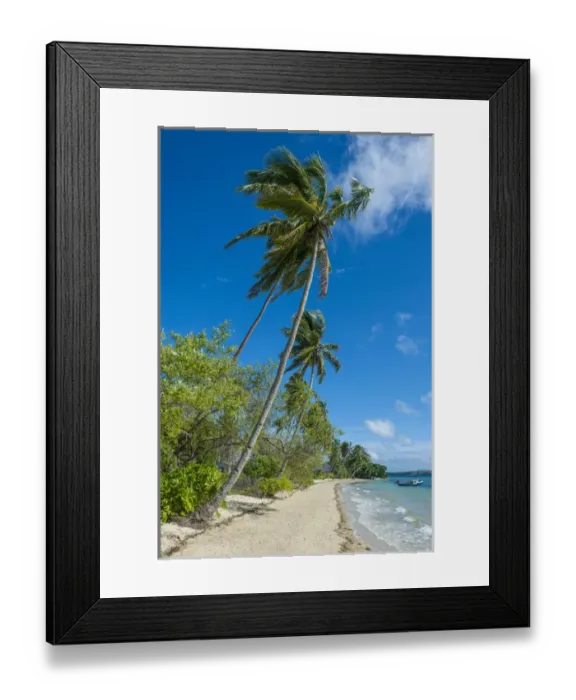 Framed Print : Palm fringed white sand beach on an islet of Vavaa'u, Vavau islands, Tonga, South Pacific Framed Print : Palm fringed white sand beach on an islet of Vavaa'u, Vavau islands, Tonga, South Pacific