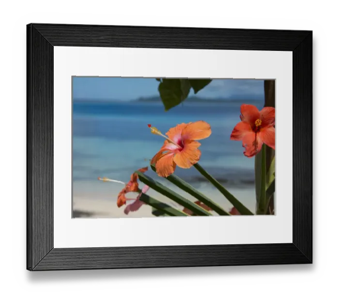 Framed Print : Melanesia, Solomon Islands, island of Owaraha or Owa Raha (formerly known as Santa Ana) Framed Print : Melanesia, Solomon Islands, island of Owaraha or Owa Raha (formerly known as Santa Ana)