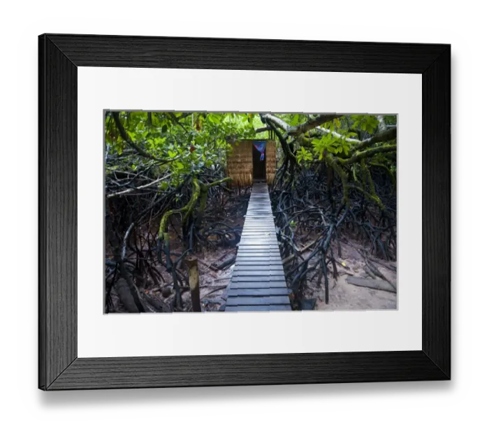 Framed Print : Jungle toilet on a an islet ot the Marovo Lagoon, Salomon Islands, Pacific Framed Print : Jungle toilet on a an islet ot the Marovo Lagoon, Salomon Islands, Pacific
