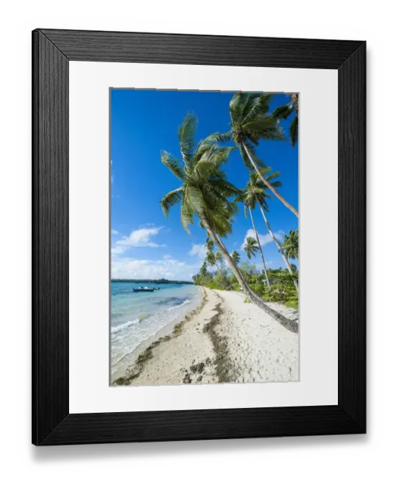 Framed Print : Palm fringed white sand beach on an islet of Vavaa'u, Vavau islands, Tonga, South Pacific Framed Print : Palm fringed white sand beach on an islet of Vavaa'u, Vavau islands, Tonga, South Pacific