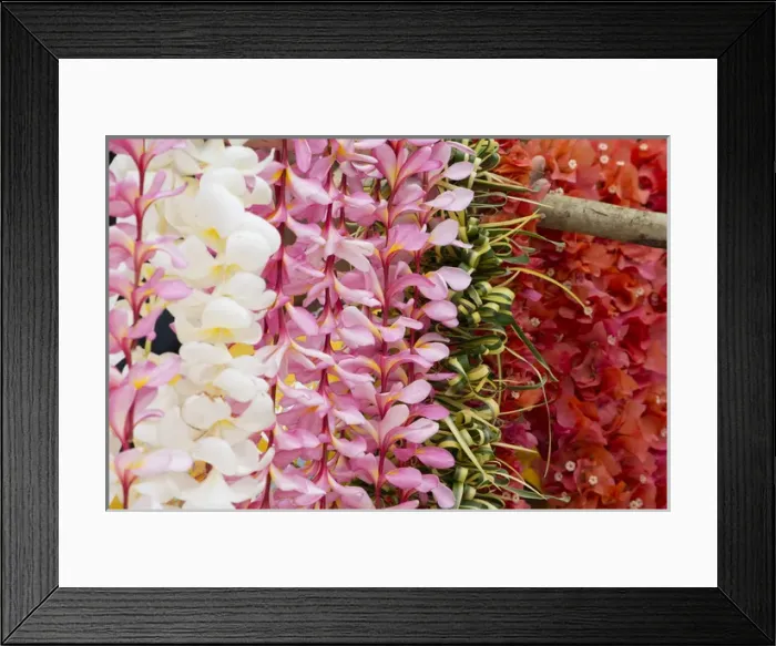 Framed Print : Republic of Vanuatu, Torres Islands, Loh Island Framed Print : Republic of Vanuatu, Torres Islands, Loh Island