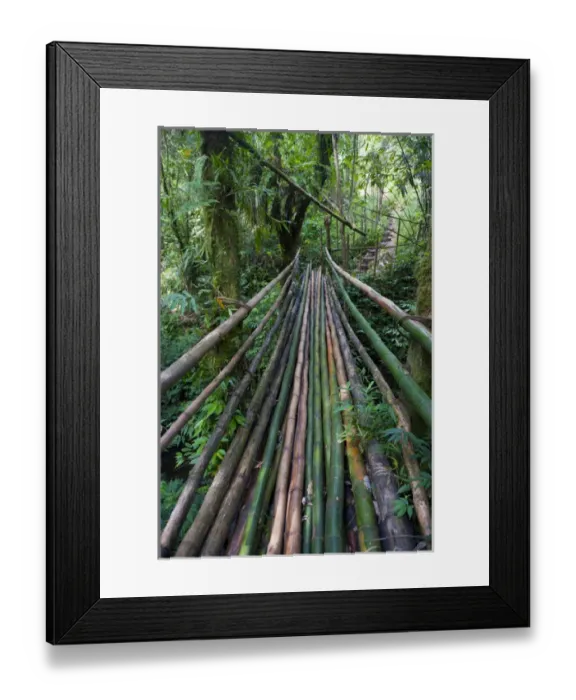 Framed Print : Bamboo bridge in the interior leading to millenium cave, Island of Espiritu Santo Framed Print : Bamboo bridge in the interior leading to millenium cave, Island of Espiritu Santo