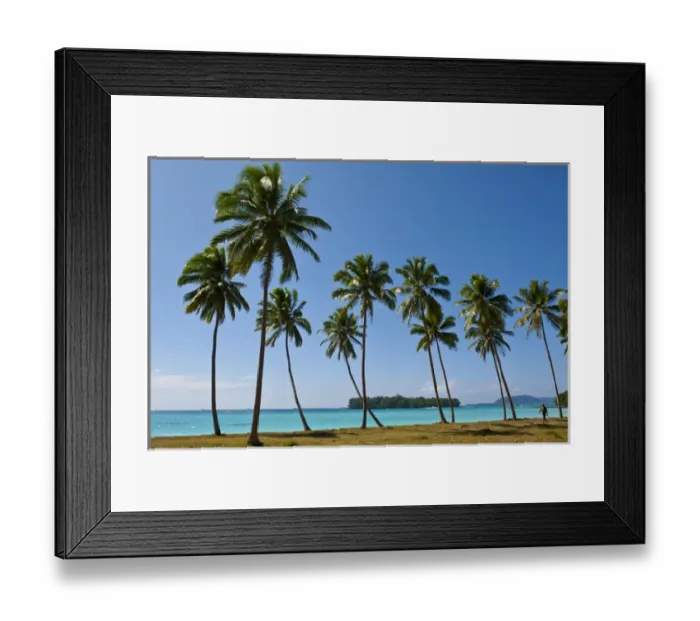Framed Print : Palm trees in Port Orly, Island of Espiritu Santo, Vanuatu, South Pacific Framed Print : Palm trees in Port Orly, Island of Espiritu Santo, Vanuatu, South Pacific