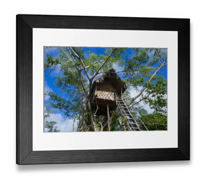 Framed Print : Tree house in a Banyan tree below the Volcano Yasur, Island of Tanna, Vanuatu, South