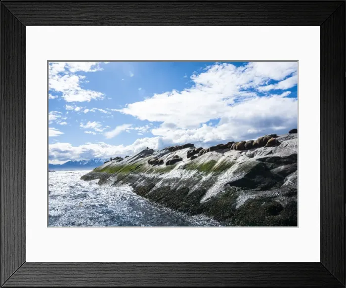 Framed Print : Island in the Beagle channel, Ushuaia, Tierra del Fuego, Argentina, South America Framed Print : Island in the Beagle channel, Ushuaia, Tierra del Fuego, Argentina, South America