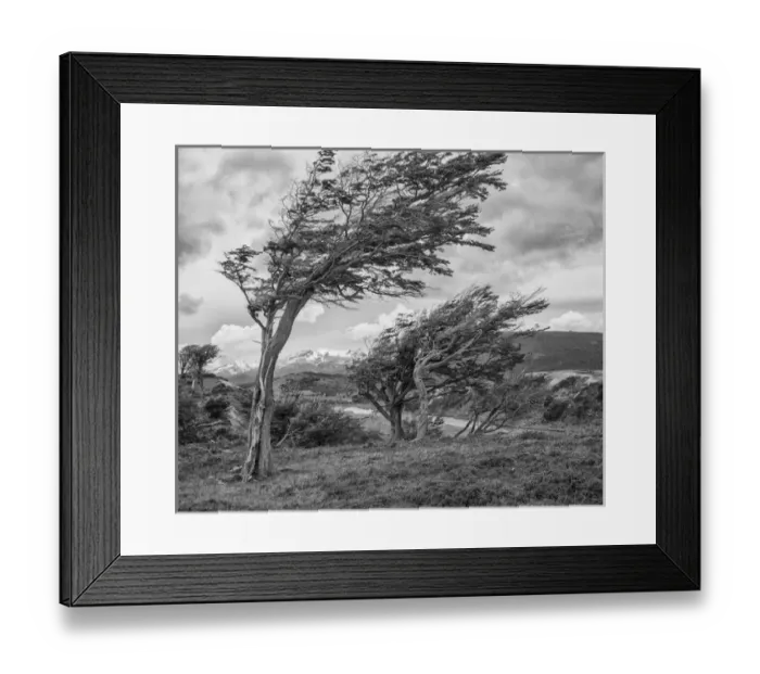 Framed Print : South America Argentina Ushuaia