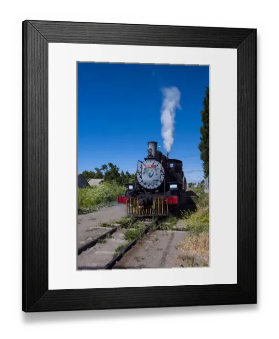 Framed Print : La Trochita the Old Patagonian Express between Esquel and El Maiten in Chubut Province Framed Print : La Trochita the Old Patagonian Express between Esquel and El Maiten in Chubut Province