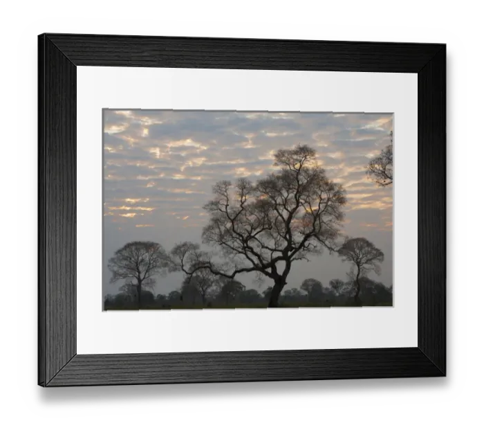 Framed Print : South America, Brazil, Sunrise peeking through the clouds on a tree filled plain Framed Print : South America, Brazil, Sunrise peeking through the clouds on a tree filled plain