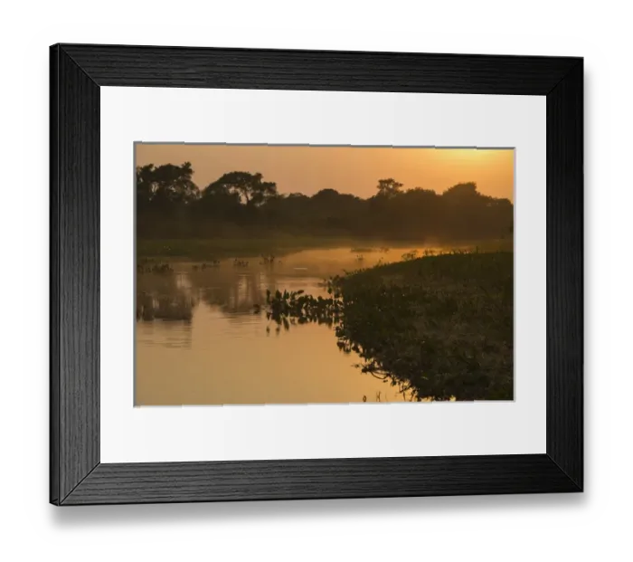 Framed Print : Sunrise on Cuiaba River, Northern Pantanal, Mato Grosso, Brazil