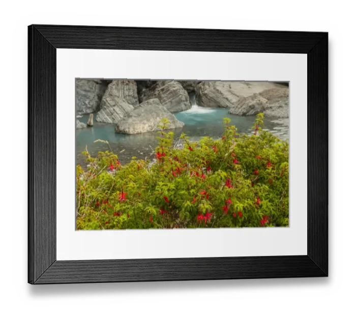 Framed Print : South America, Chile, Patagoni. Scenic of stream