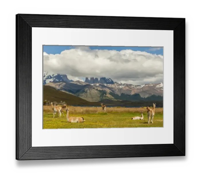 Framed Print : South America, Chile, Patagonia, Torres del Paine National Park. Landscape of mountains Framed Print : South America, Chile, Patagonia, Torres del Paine National Park. Landscape of mountains
