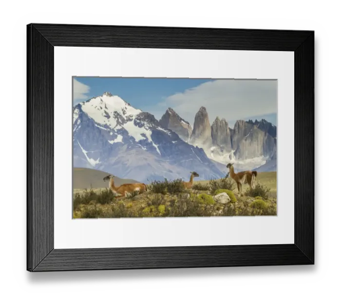 Framed Print : South America, Chile, Patagonia, Torres del Paine Framed Print : South America, Chile, Patagonia, Torres del Paine