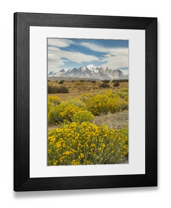 Framed Print : South America, Chile, Patagonia. Landscape of Torres del Paine Framed Print : South America, Chile, Patagonia. Landscape of Torres del Paine
