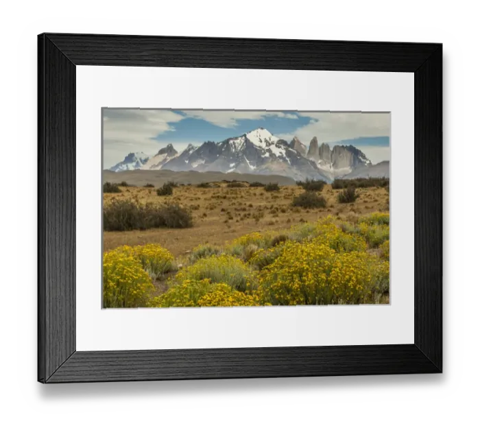 Framed Print : South America, Chile, Patagonia. Landscape of Torres del Paine Framed Print : South America, Chile, Patagonia. Landscape of Torres del Paine