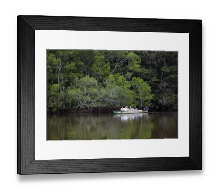 Framed Print : Ecuador, Orellana, Napo River. Tourists viewing wildlife in a canoe, La Selva Amazon Framed Print : Ecuador, Orellana, Napo River. Tourists viewing wildlife in a canoe, La Selva Amazon