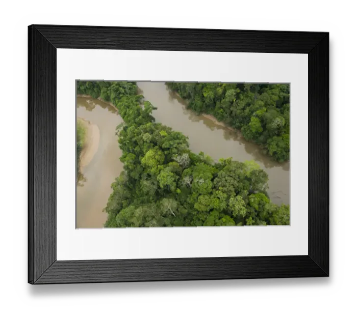 Framed Print : Tiputini River and Rainforest, Yasuni National Park, Amazon Rainforest, ECUADOR
