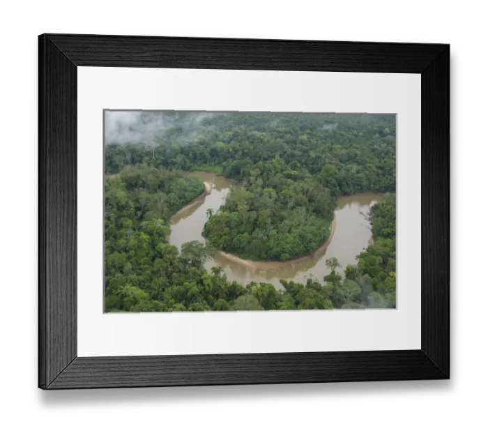 Framed Print : Tiputini River and Rainforest, Yasuni National Park, Amazon Rainforest, ECUADOR
