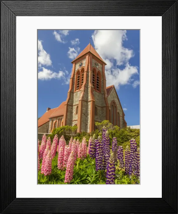 Framed Print : Falkland Islands, East Falkland, Stanley. Christ Church Cathedral and lupine flowers Framed Print : Falkland Islands, East Falkland, Stanley. Christ Church Cathedral and lupine flowers