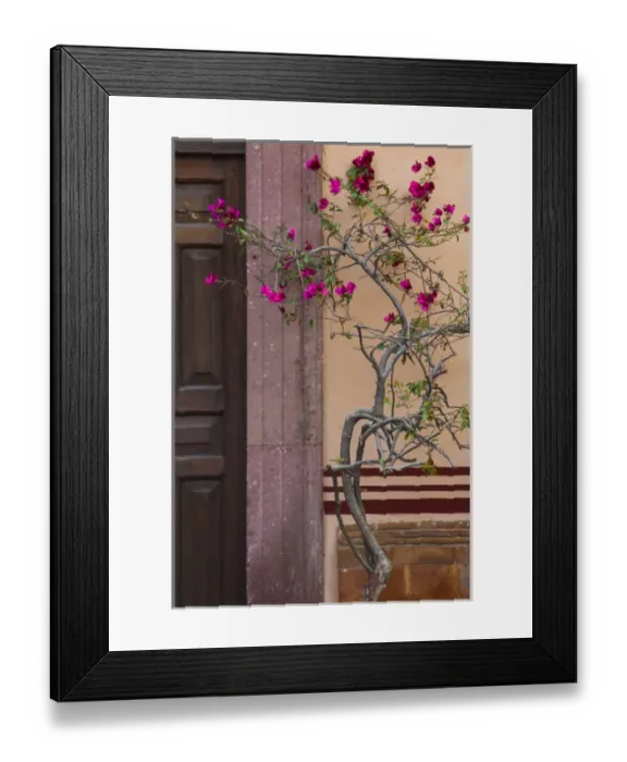 Framed Print : North America, Mexico, San Miguel de Allende, Closed wooden door, stone doorway Framed Print : North America, Mexico, San Miguel de Allende, Closed wooden door, stone doorway