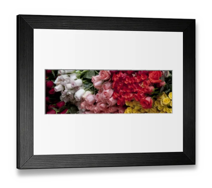 Framed Print : North America, Mexico, San Miguel de Allende