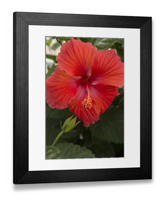 Framed Print : Mexico, Bahia de Banderas, Bucerias. A beach town in Nayarit State between La Cruz de Huanacaxtle