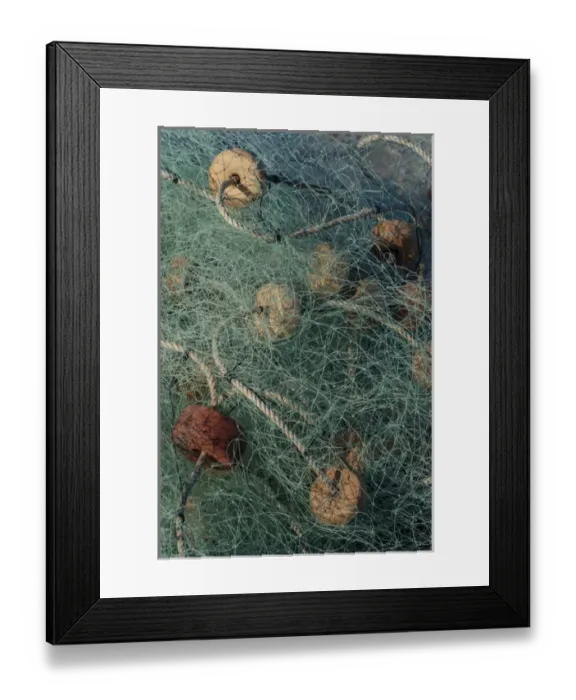 Framed Print : North America, Mexico, Baja California, Entangled fishing nets washed up on a beach Framed Print : North America, Mexico, Baja California, Entangled fishing nets washed up on a beach