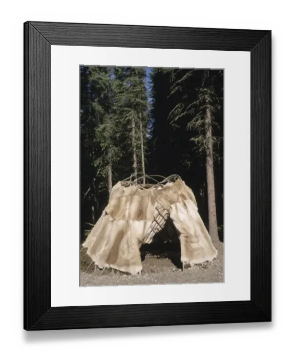 Framed Print : Traditional Athabaskan dome shaped dwelling covered with caribou hides called a wickiup Framed Print : Traditional Athabaskan dome shaped dwelling covered with caribou hides called a wickiup
