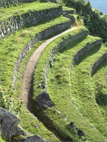 South America Peru Machu Picchu Terracing