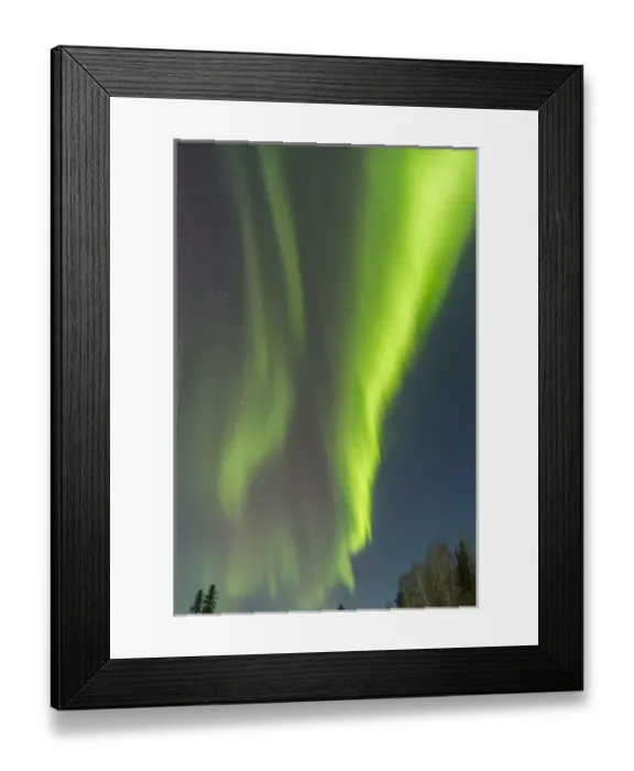 Framed Print : USA, Alaska. Aurora borealis over forest