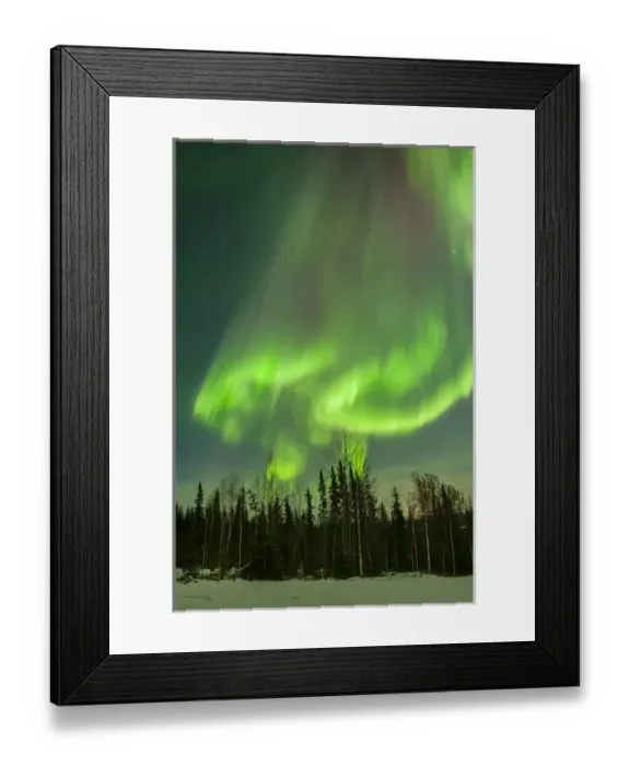 Framed Print : USA, Alaska. Aurora borealis over forest