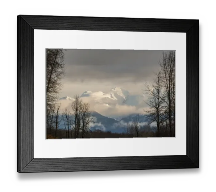 Framed Print : USA, Alaska, Chilkat River Valley. Snowy mountains Framed Print : USA, Alaska, Chilkat River Valley. Snowy mountains