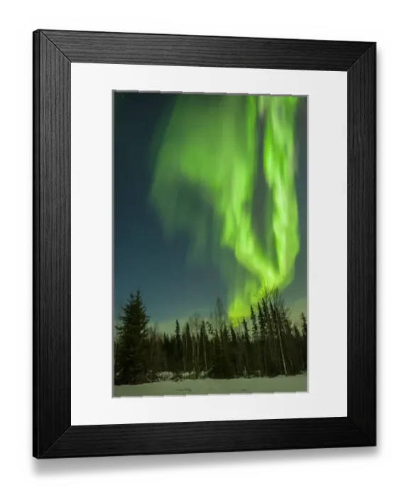 Framed Print : USA, Alaska. Aurora borealis over forest