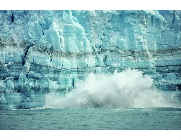 The Hubbard Glacier is tidewater glacier that calves frequently, tongass National Forest