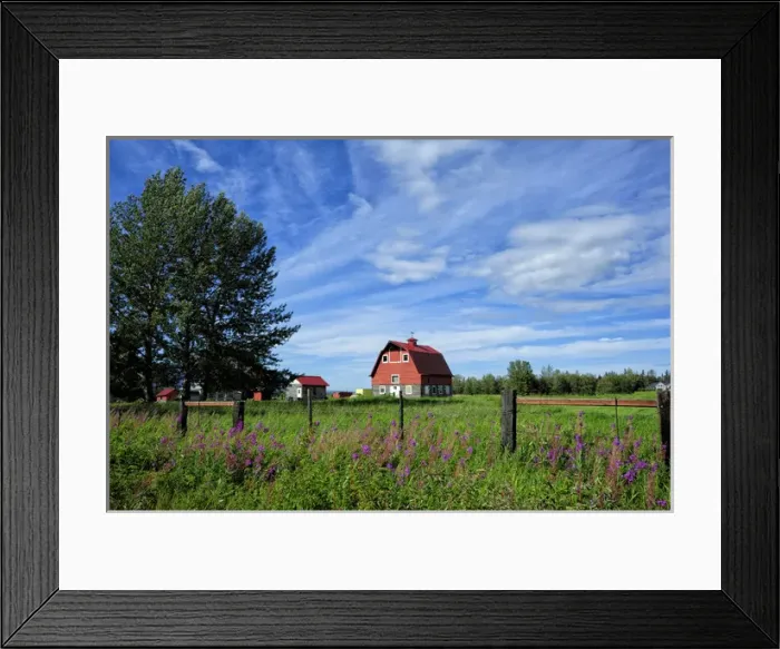 Framed Print : Typical colony home in Palmer area Alaska Framed Print : Typical colony home in Palmer area Alaska