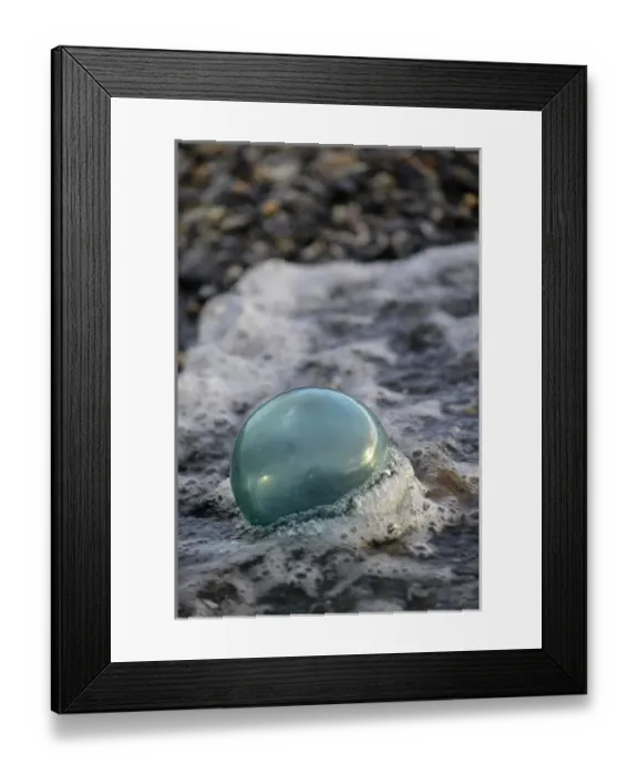 Framed Print : USA, Southeast Alaska near Ketchikan, Japanese glass fishing float Framed Print : USA, Southeast Alaska near Ketchikan, Japanese glass fishing float