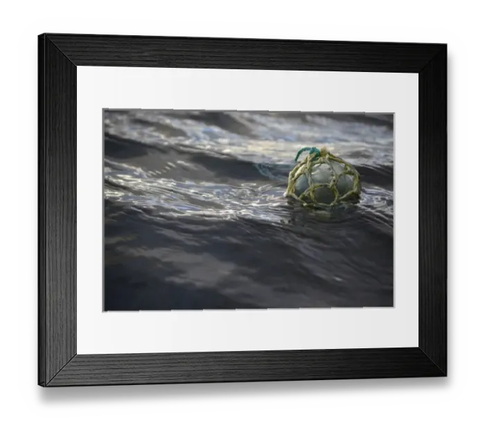 Framed Print : USA, Southeast Alaska near Ketchikan, Japanese glass fishing float Framed Print : USA, Southeast Alaska near Ketchikan, Japanese glass fishing float