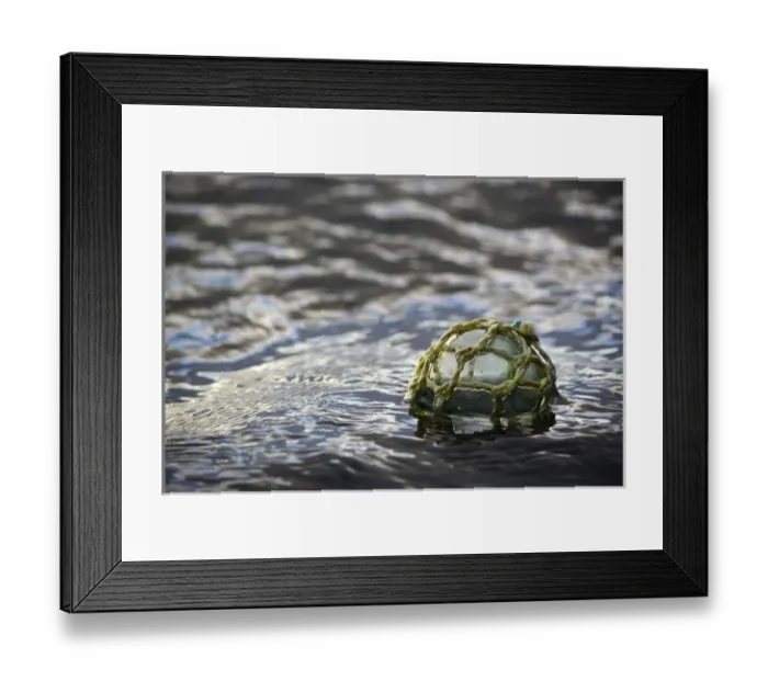 Framed Print : USA, Southeast Alaska near Ketchikan, Japanese glass fishing float