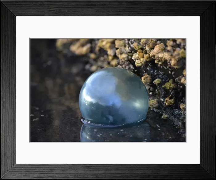 Framed Print : USA, Southeast Alaska near Ketchikan, Japanese glass fishing float
