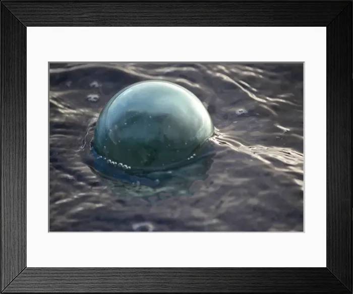 Framed Print : USA, Southeast Alaska near Ketchikan, Japanese glass fishing float Framed Print : USA, Southeast Alaska near Ketchikan, Japanese glass fishing float