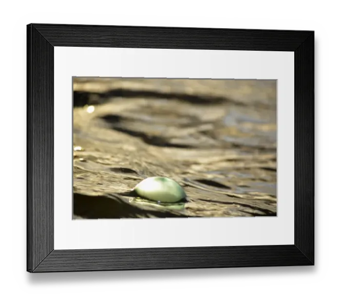 Framed Print : USA, Southeast Alaska near Ketchikan, Japanese glass fishing float Framed Print : USA, Southeast Alaska near Ketchikan, Japanese glass fishing float